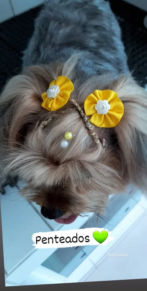 Cliente VIP 3