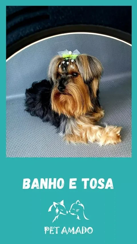 Cliente VIP 6