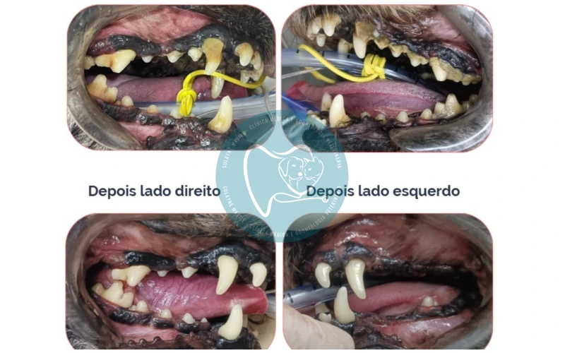 Tratamento Odontológico 1