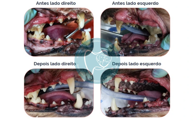 Tratamento Odontológico 2